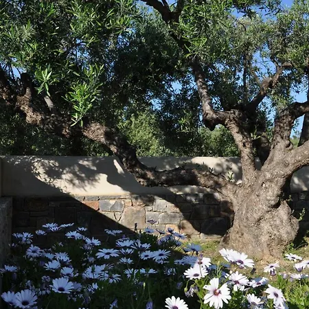 Nefeli Villa