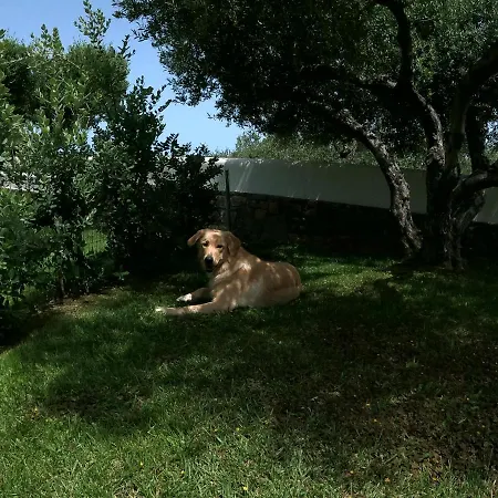 Villa Nefeli