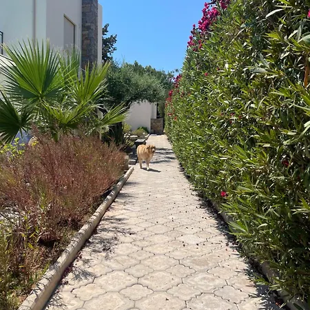Nefeli Hersonissos (Crete)